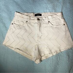 HUDSON X BAJA EAST Collaboration White Cutoff Denim Shorts w/ Light Print Sz 28